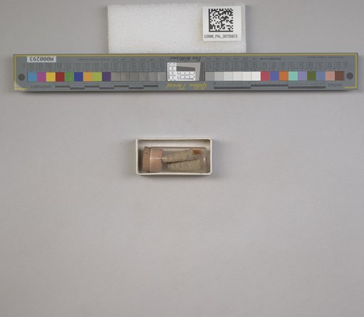NSF ADBC EPICC TCN