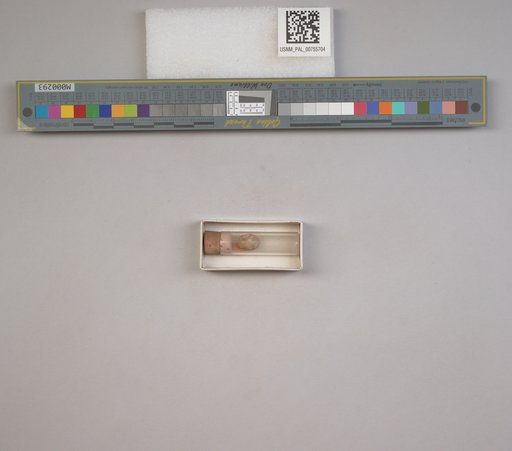 NSF ADBC EPICC TCN