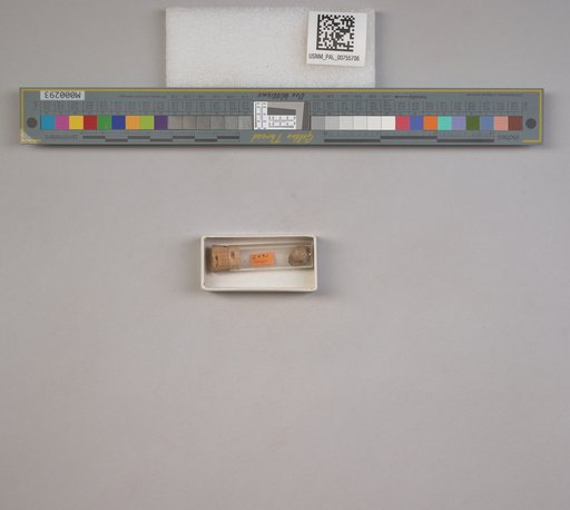 NSF ADBC EPICC TCN
