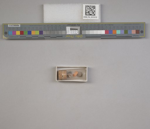 NSF ADBC EPICC TCN