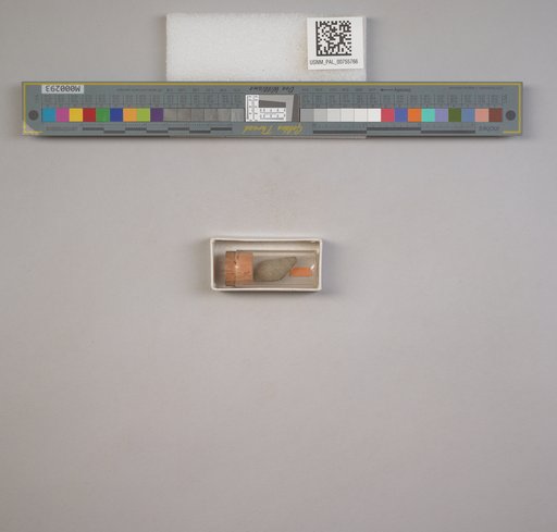 NSF ADBC EPICC TCN