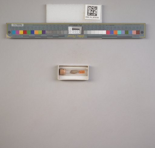 NSF ADBC EPICC TCN