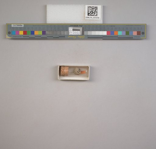 NSF ADBC EPICC TCN