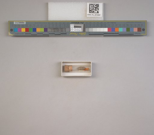 NSF ADBC EPICC TCN