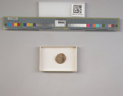 NSF ADBC EPICC TCN