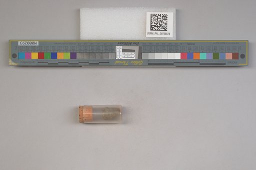 NSF ADBC EPICC TCN