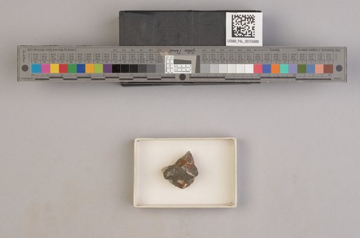 NSF ADBC EPICC TCN