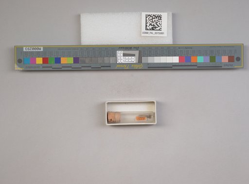 NSF ADBC EPICC TCN