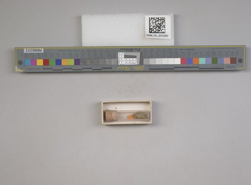 NSF ADBC EPICC TCN