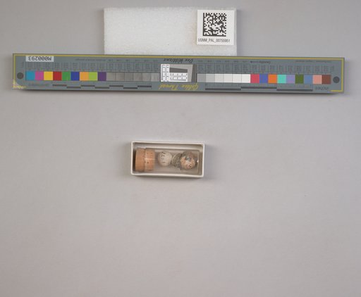 NSF ADBC EPICC TCN