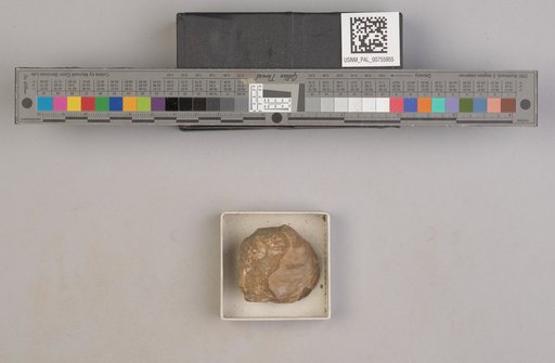 NSF ADBC EPICC TCN