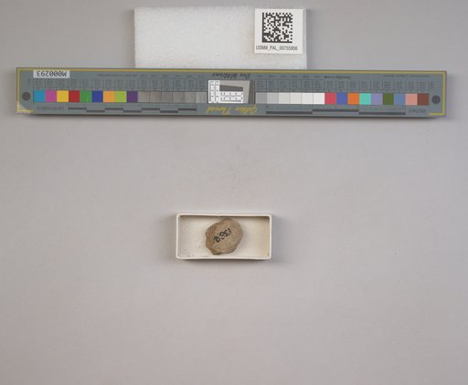 NSF ADBC EPICC TCN