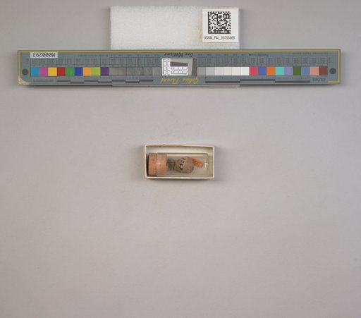 NSF ADBC EPICC TCN