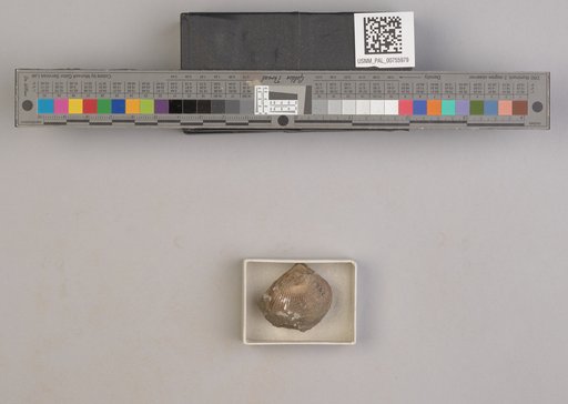 NSF ADBC EPICC TCN