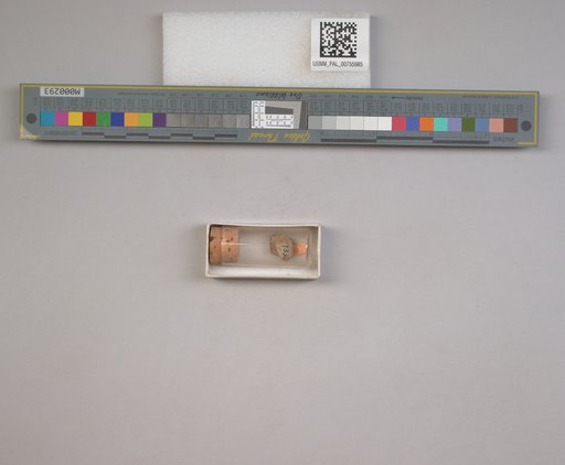 NSF ADBC EPICC TCN