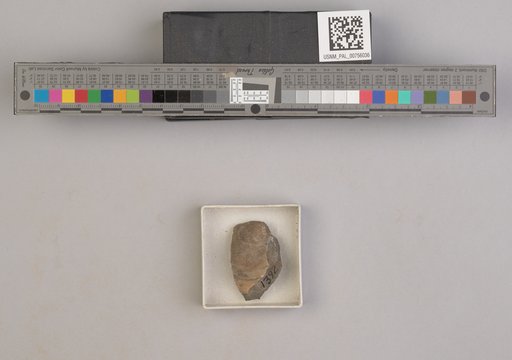 NSF ADBC EPICC TCN