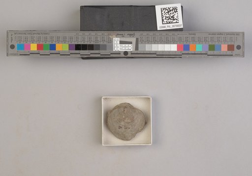 NSF ADBC EPICC TCN
