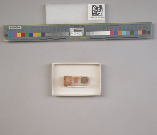 NSF ADBC EPICC TCN