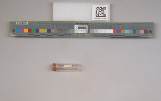 NSF ADBC EPICC TCN