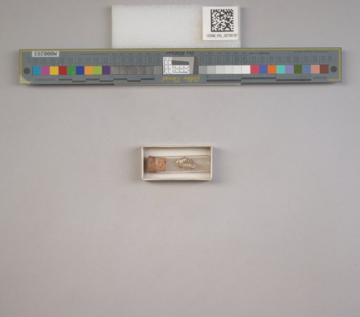 NSF ADBC EPICC TCN