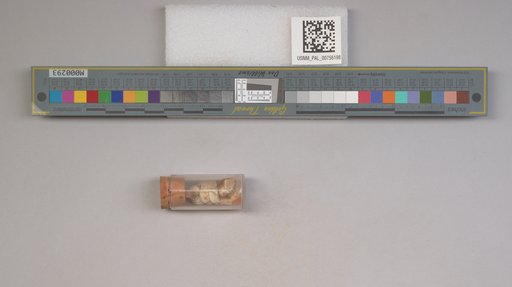 NSF ADBC EPICC TCN