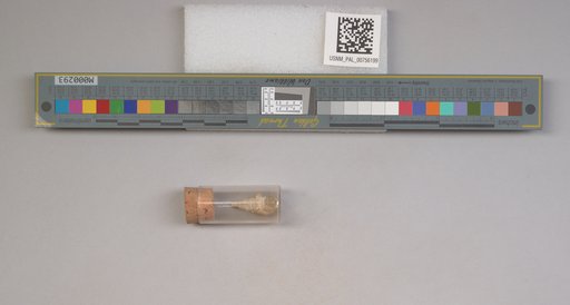 NSF ADBC EPICC TCN