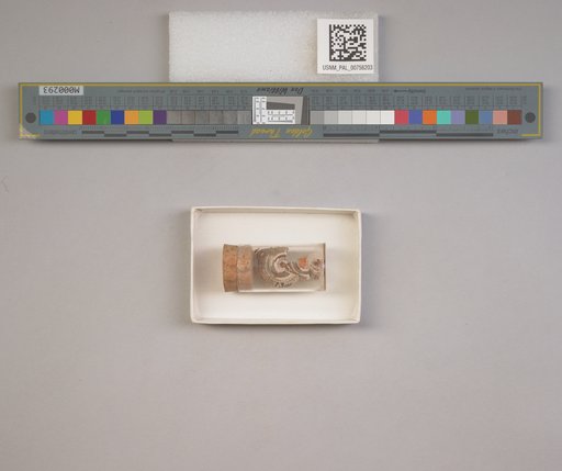 NSF ADBC EPICC TCN