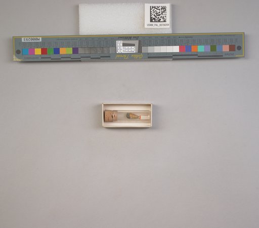 NSF ADBC EPICC TCN