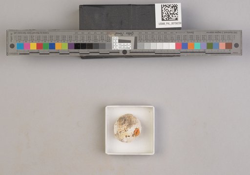 NSF ADBC EPICC TCN