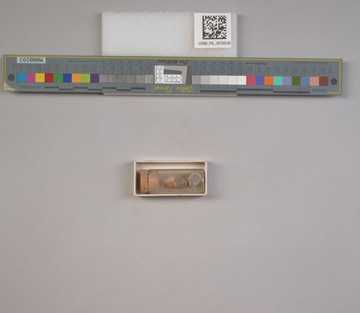 NSF ADBC EPICC TCN