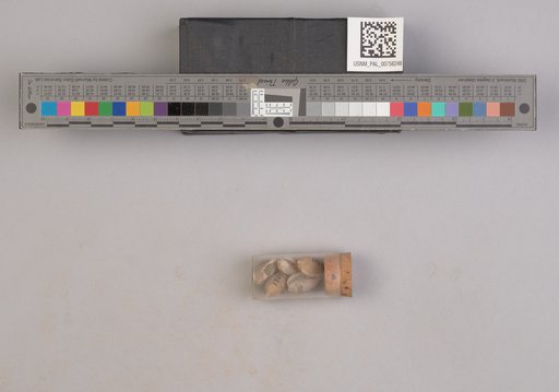 NSF ADBC EPICC TCN
