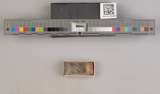 NSF ADBC EPICC TCN