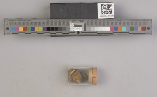 NSF ADBC EPICC TCN