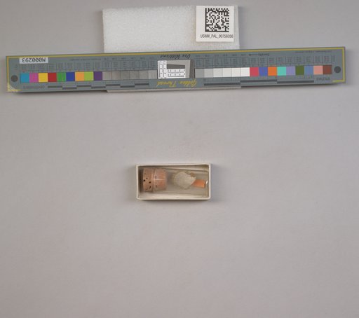 NSF ADBC EPICC TCN