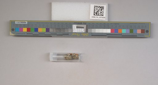 NSF ADBC EPICC TCN
