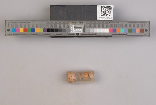 NSF ADBC EPICC TCN
