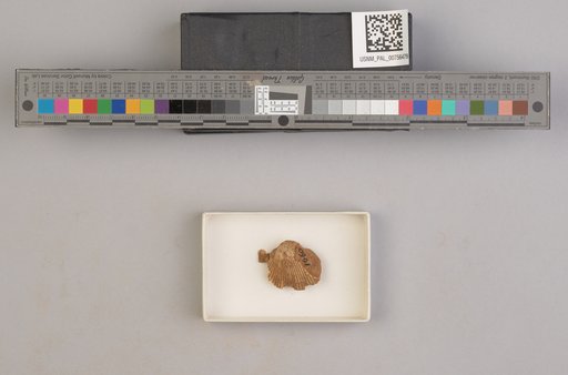 NSF ADBC EPICC TCN