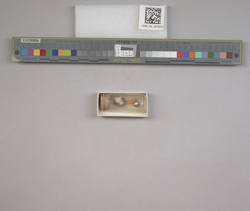 NSF ADBC EPICC TCN