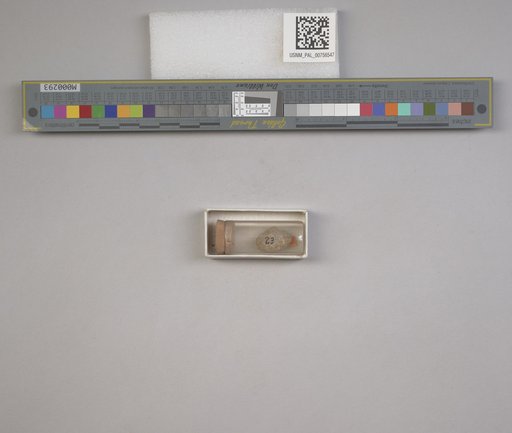 NSF ADBC EPICC TCN