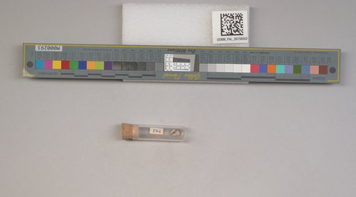 NSF ADBC EPICC TCN