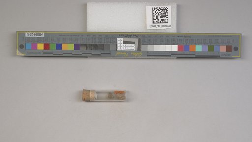 NSF ADBC EPICC TCN