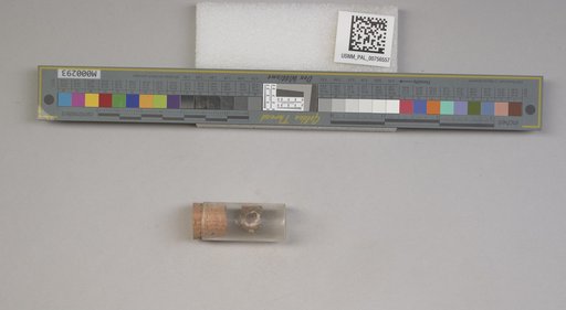 NSF ADBC EPICC TCN