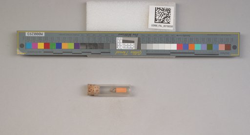 NSF ADBC EPICC TCN