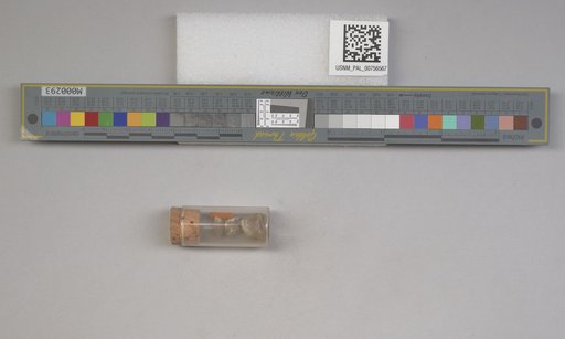 NSF ADBC EPICC TCN