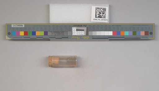 NSF ADBC EPICC TCN