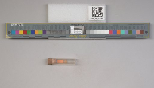 NSF ADBC EPICC TCN
