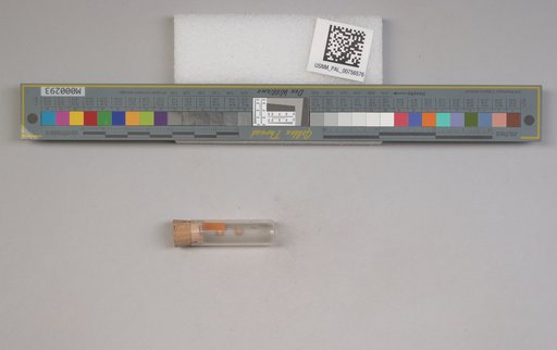 NSF ADBC EPICC TCN