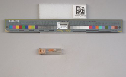 NSF ADBC EPICC TCN