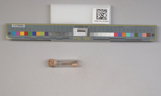 NSF ADBC EPICC TCN