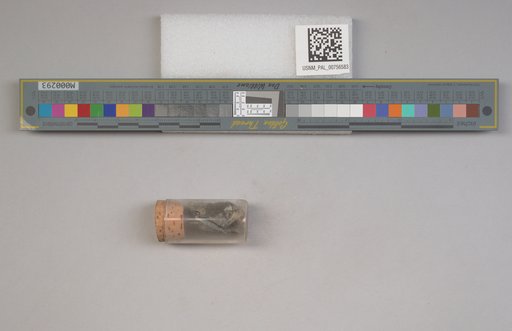 NSF ADBC EPICC TCN